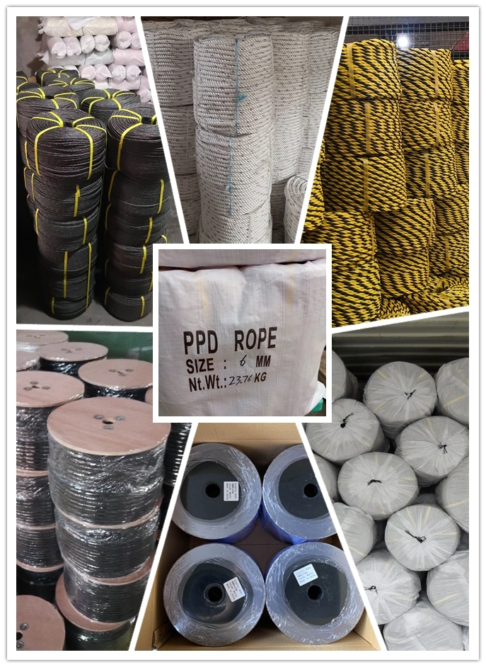 Factory Price Double Braided Climbing/Tow/Static/Safety Rope in Polyester/PP/Polypropylene/Polyamide/Nylon/PA